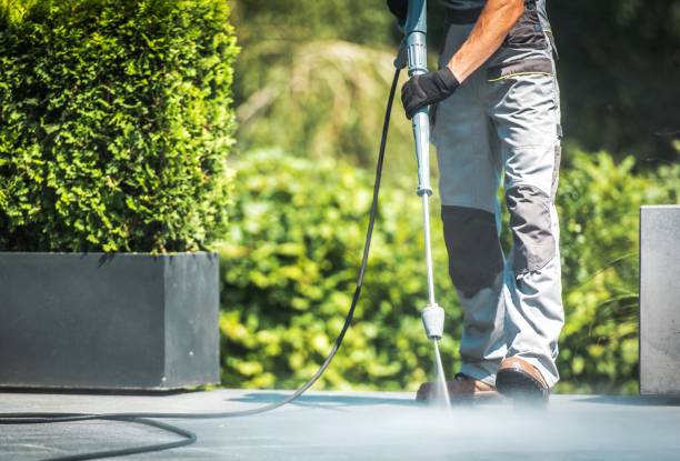 Best Dumpster Area Cleaning  in Midlothian, VA